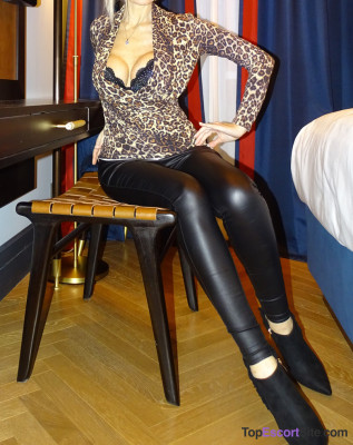 fast Escort in Frankfurt/Main