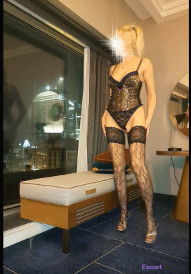 fast Escort in Frankfurt/Main