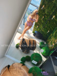 Lika GFE