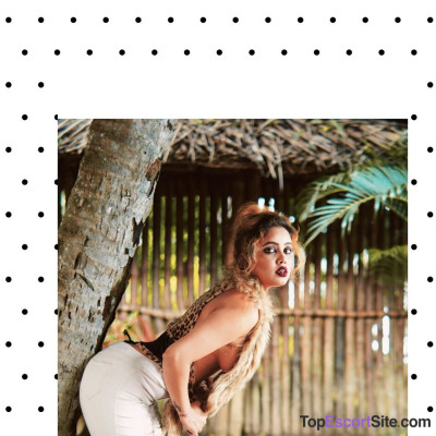 Model gallery