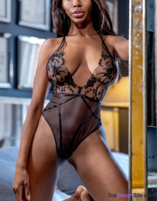 Model gallery