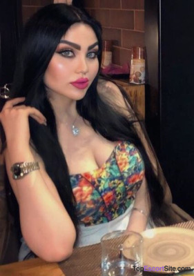 Model gallery