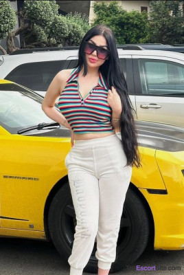 Model gallery