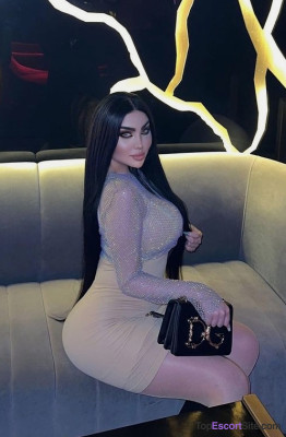 Model gallery