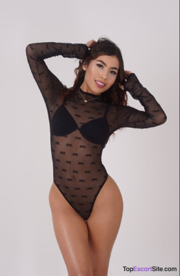 Model gallery