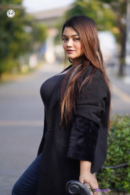 Model gallery