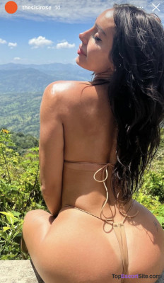 Model gallery