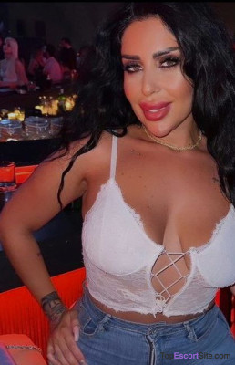 Model gallery