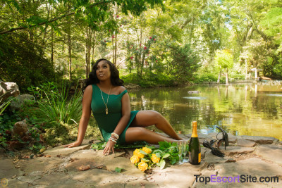 Model gallery