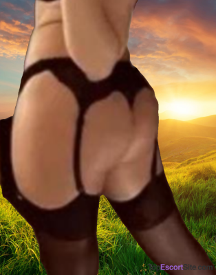 Model gallery
